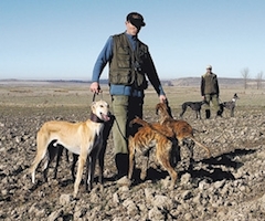 Los galgueros de Segovia sufren el robo de 80 perros en un año